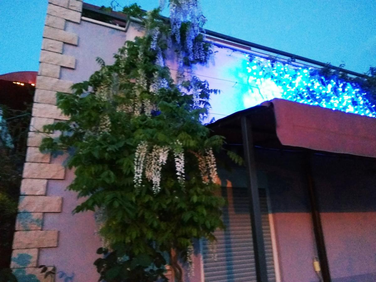 Aparthotel Viola ペシュチャーナ・ウヴァラ エクステリア 写真