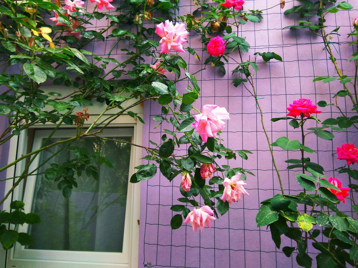Aparthotel Viola ペシュチャーナ・ウヴァラ エクステリア 写真