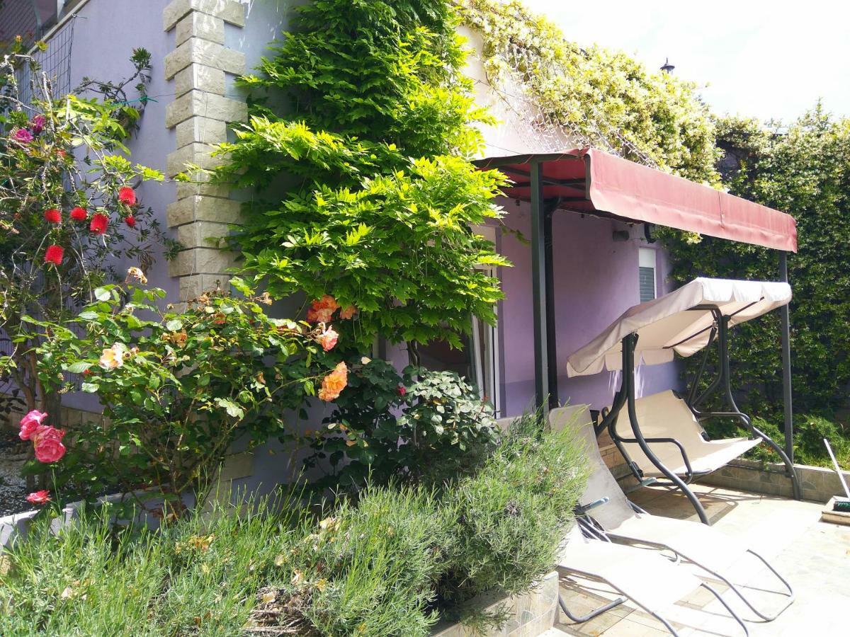Aparthotel Viola ペシュチャーナ・ウヴァラ エクステリア 写真
